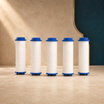 ERSATZFILTER für DUSCHKOPF™ – 5er-Pack – Hauptansicht