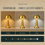 FUNGO-LUMA™ – drei Lichtfarben und Dimmfunktion