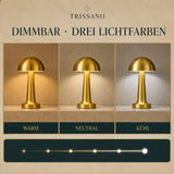 FUNGO-LUMA™ – drei Lichtfarben und Dimmfunktion